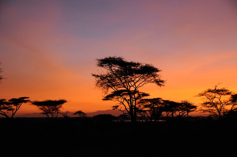 In der Serengenti, Tansania